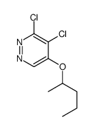 3,4-dichloro-5-pentan-2-yloxypyridazine Structure