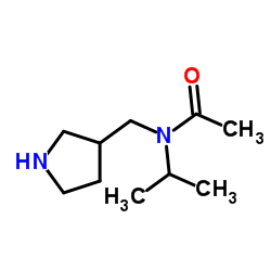 N-Isopropyl-N-(3-pyrrolidinylmethyl)acetamide Structure