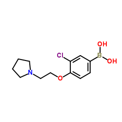 (3-chloro-4-(2-(pyrrolidin-1-yl)ethoxy)phenyl)boronic acid structure