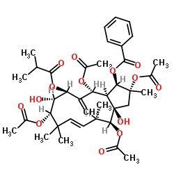 Jatrophane 4 structure