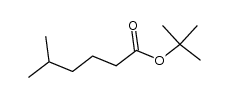 5-methyl-hexanoic acid tert-butyl ester结构式