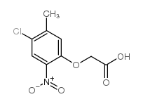 2-(4-chloro-5-methyl-2-nitrophenoxy)acetic acid Structure
