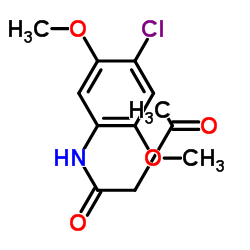 N-(4-Chloro-2,5-dimethoxyphenyl)-3-oxobutanamide structure