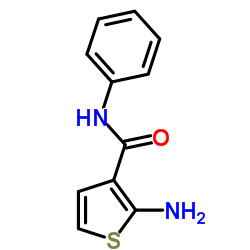 2-Amino-N-phenyl-3-thiophenecarboxamide结构式