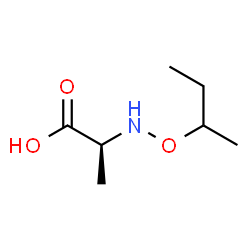 Alanine, N-(1-methylpropoxy)- (9CI)结构式