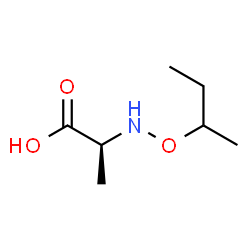 Alanine, N-(1-methylpropoxy)- (9CI) Structure