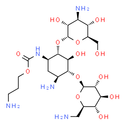 1-N-(3-aminopropoxycarbonyl)kanamycin A structure