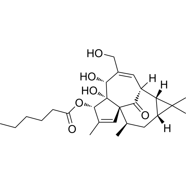 Ingenol 3-Hexanoate图片