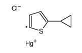 chloro-(5-cyclopropylthiophen-2-yl)mercury结构式