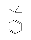 1-tert-butylcyclohexa-1,4-diene Structure