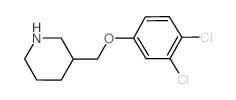 3-[(3,4-Dichlorophenoxy)methyl]piperidine结构式