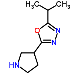 2-Isopropyl-5-(3-pyrrolidinyl)-1,3,4-oxadiazole Structure