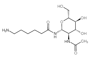 2-acetamido-n-(e-aminocaproyl)-2-deoxy-beta-d-glucopyranosylamine Structure