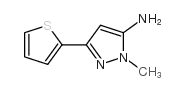 1-甲基-3-(噻吩-2-基)-1H-吡唑-5-胺图片