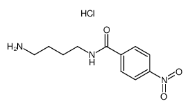 N-(4-Amino-butyl)-4-nitro-benzamide; hydrochloride Structure