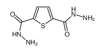 thiophene-2,5-dicarbohydrazide Structure