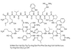 MOG (35-55) structure