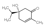 2-Cyclohexen-1-one,5-hydroxy-2-methyl-5-(1-methylethyl)-,(5S)-(9CI) picture
