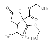 2,2-Pyrrolidinedicarboxylicacid, 3-(1-methylethyl)-5-oxo-, 2,2-diethyl ester picture