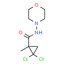 Cyclopropanecarboxamide, 2,2-dichloro-1-methyl-N-4-morpholinyl- (9CI) structure