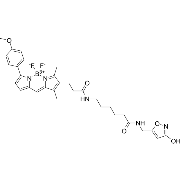 Bodipy TMR-X muscimol结构式