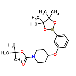 3-(N-BOC-Piperidin-4-yloxy)phenylboronic acid pinacol ester structure
