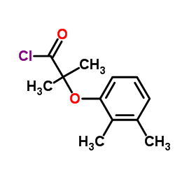 2-(2,3-Dimethylphenoxy)-2-methylpropanoyl chloride Structure