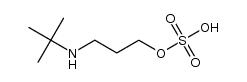3-(tert-butylammonio)propyl sulfate Structure