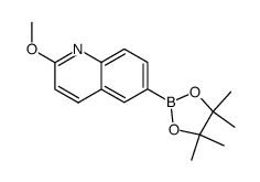2-甲氧基-6-(4,4,5,5-四甲基-1,3,2-二氧硼杂环戊烷-2-基)喹啉结构式