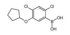 24-二氯-5-(环戊基氧基)苯硼酸结构式