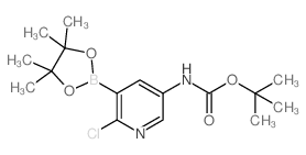 Boc-5-Amino-2-chloropyridine-3-boronic acid pinacol ester结构式