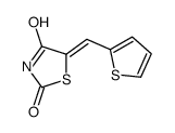 5-(2-Thienylmethylene)-1,3-thiazolidine-2,4-dione picture