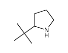 2-叔丁基吡咯烷结构式