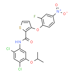 N-(2,4-Dichloro-5-isopropoxyphenyl)-3-(2-fluoro-4-nitrophenoxy)-2-thiophenecarboxamide结构式