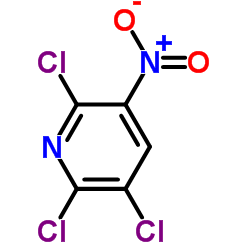 2,3,6-Trichloro-5-nitropyridine picture