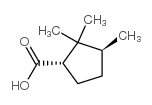 Cyclopentanecarboxylic acid, 2,2,3-trimethyl-, (1S,3S)- (9CI) picture
