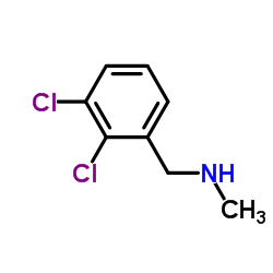 (2,3-Dichlorobenzyl)methylamine picture