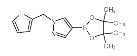 4-(4,4,5,5-Tetramethyl-1,3,2-dioxaborolan-2-yl)-1-(2-thienylmethyl)-1H-pyrazole picture