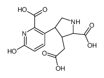 3-[(3S)-5β-Carboxy-4α-carboxymethylpyrrolidin-3α-yl]-1,6-dihydro-6-oxopyridine-2-carboxylic acid Structure