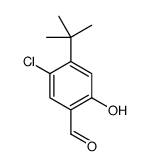 5-Chloro-2-hydroxy-4-(2-methyl-2-propanyl)benzaldehyde Structure