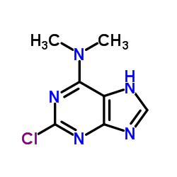 2-Chloro-N,N-dimethyl-7H-purin-6-amine picture