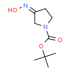 1-Pyrrolidinecarboxylicacid,3-(hydroxyimino)-,1,1-dimethylethylester,(Z)-(9CI) picture