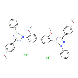 P-ANISYL BLUE TETRAZOLIUM CHLORIDE结构式