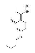 3-butoxy-6-[1-(hydroxyamino)propylidene]cyclohexa-2,4-dien-1-one Structure