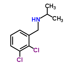 N-(2,3-Dichlorobenzyl)-2-propanamine structure