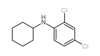 N-CYCLOHEXYL-2,4-DICHLOROANILINE structure