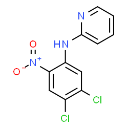 N2-(4,5-DICHLORO-2-NITROPHENYL)PYRIDIN-2-AMINE picture