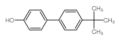 4'-(1,1-dimethylethyl)[1,1'-biphenyl]-4-ol结构式