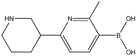 2-Methyl-6-(piperidin-3-yl)pyridine-3-boronic acid结构式