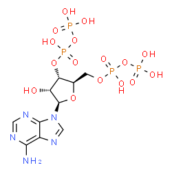 adenosine 3'-diphosphate 5'-diphosphate结构式